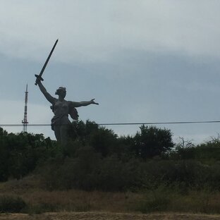 Дзен Камлан статистика