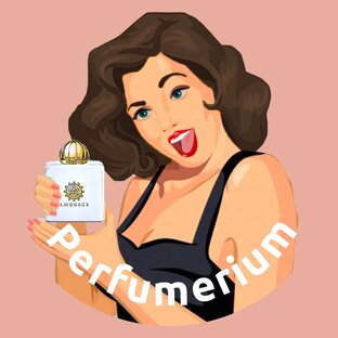 Статистика Дзен PERFUMERIUM