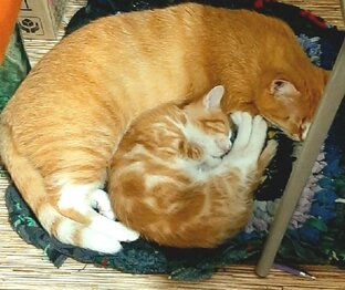 Дзен Неизвестное об известном статистика