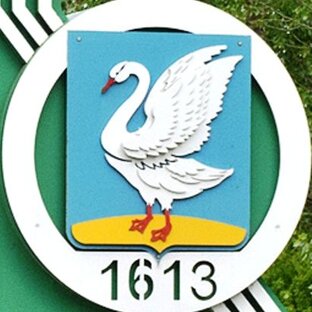 Статистика Дзен В Лебедяни с лебедями
