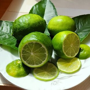 🍋Лимончики на балкончике🍋