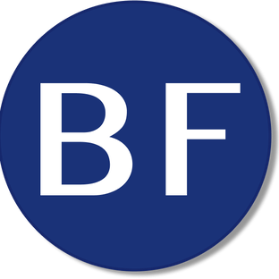 Bespalov Finance