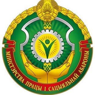 Статистика Дзен Министерство труда и социальной защиты Республики Беларусь