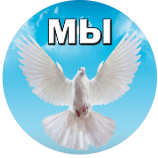 Статистика Дзен Действовать будем МЫ