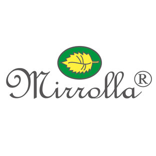 Статистика Дзен Mirrolla Official