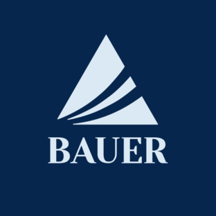 Статистика Дзен BAUER