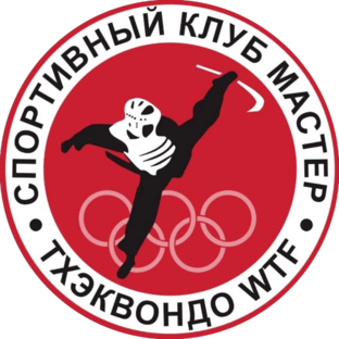 Дзен СК "Мастер" Тхэквондо г. Сызрань статистика