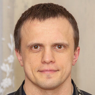 Статистика Дзен Александр Никитин