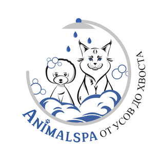 Статистика Дзен Animal Spa. Груминг-салон на Новой Риге