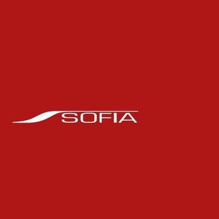 Статистика Дзен Sofia Двери будущего