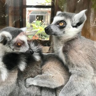 Дзен Просто маркетинг статистика