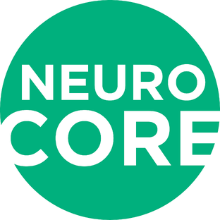 Статистика Дзен NeuroСore