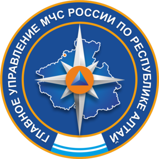 Статистика Дзен ГУ МЧС России по Республике Алтай 