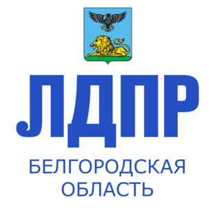 Статистика Дзен Белгородское региональное отделение ЛДПР