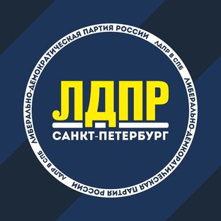 Статистика Дзен ЛДПР Санкт-Петербург 