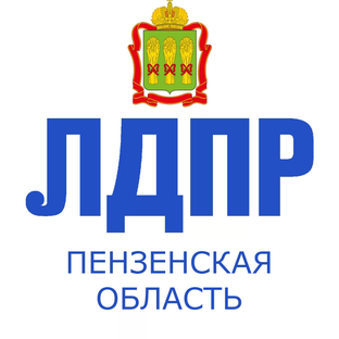 Статистика Дзен ЛДПР Пенза