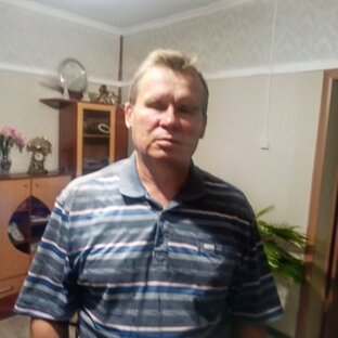 Статистика Дзен Владимир Тоторов