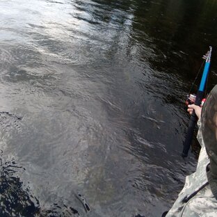 Дзен G-Force статистика