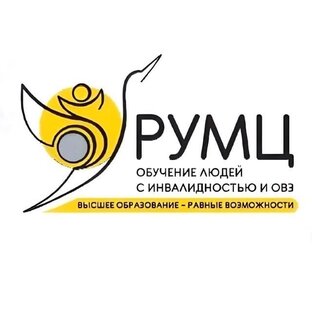 Статистика Дзен РУМЦ Инклюзивное образование