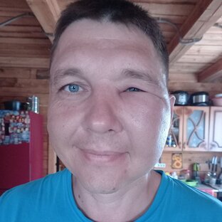 Статистика Дзен Игорь, пчелы для души. Забайкальский край