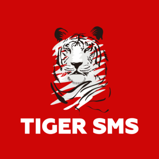 Статистика Дзен TIGER SMS