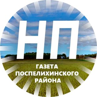 Статистика Дзен "Новый путь"