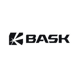 Статистика Дзен BASK.RU