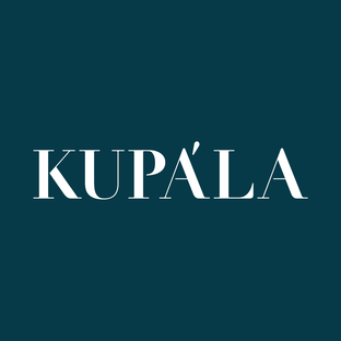 Статистика Дзен KUPÁLA