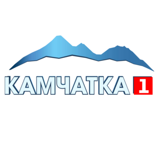 Статистика Дзен Камчатка 1