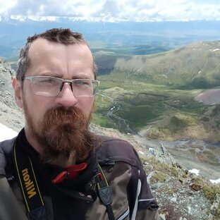 Статистика Дзен заметки на полях