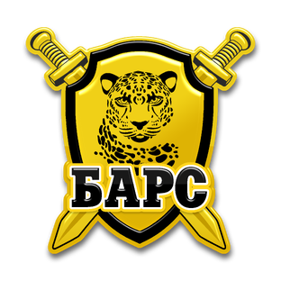 Статистика Дзен "Барс"-Ваш эксперт по безопасности