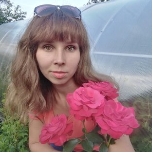 Статистика Дзен Лунская дачница 