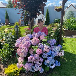 Статистика Дзен Garden with Tasia