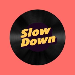 Статистика Дзен SLOW DOWN