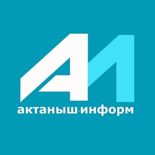 Статистика Дзен Актаныш-информ