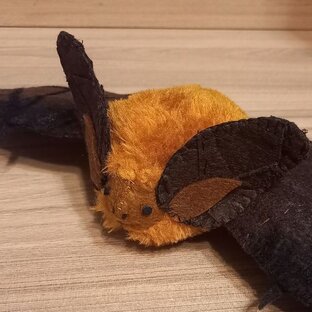 MariaTheLittleBat