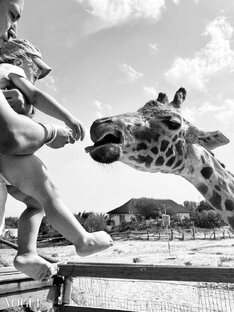 Яркие краски Израиля