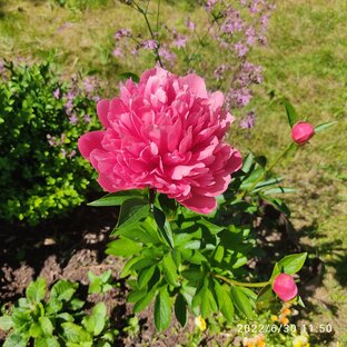 Размышления