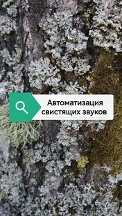 Автоматизация свистящих звуков 