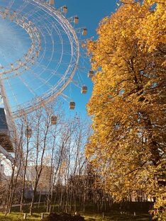 Москва и Подмосковье