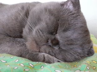 красивые мордашки...