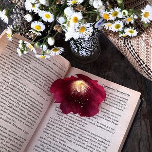 Жила-была девочка...