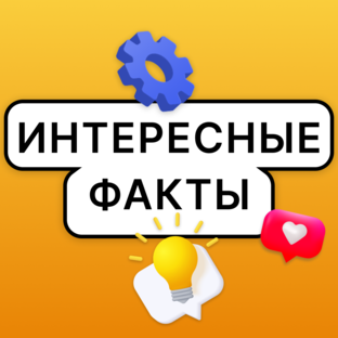 Интересные факты