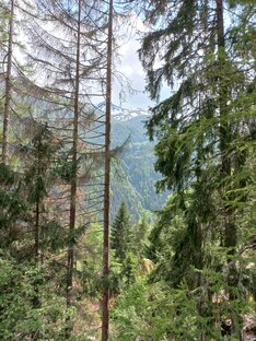 Природа вдохновляет