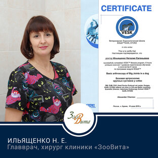 Документы