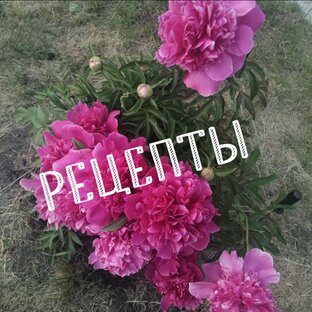 Рецепты блюд, которые готовят в нашей семье. 