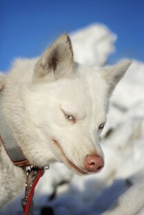 Ванилька🤍