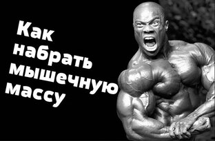 Жизнь "на массе"