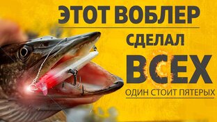 Короткие видео о рыбалке