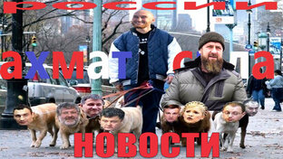я за мир.